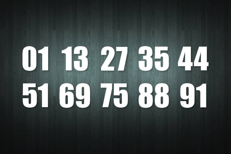 Race Car Number Vinyl Stickers (x3) – Doozi